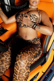 Leopard Print Pants Set