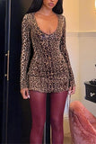 Leopard Print Casual Dress
