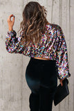 Sequin Embellished Crop Top