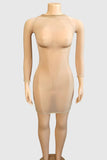Sheer Long Sleeve Night Out Dress