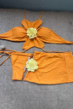 Floral Embellished Bikini Set