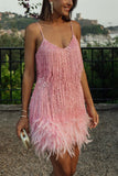 Fringe and Feathered Mini Dress
