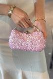Elegant Evening Clutch