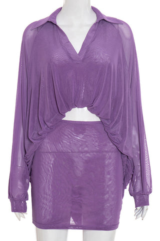 Chic Cropped Top and Skirt Set