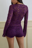 Lace V-Neck Sheer Blouse