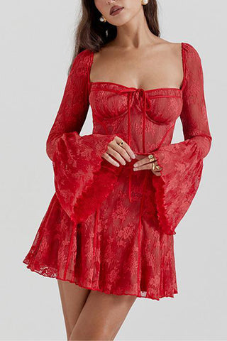 Sheer Lace Long Sleeve Dress