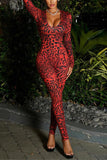 Animal Print Long Sleeve Jumpsuit