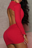 Plunge Neck Long Sleeve Dress