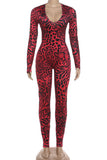 Animal Print Long Sleeve Jumpsuit
