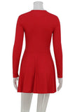 Mesh Panel Flared Night Out Dress