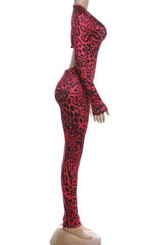 Animal Print Long Sleeve Jumpsuit