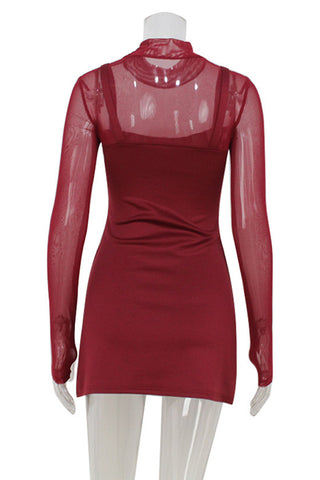 Sheer Sleeve Mock Neck Dress