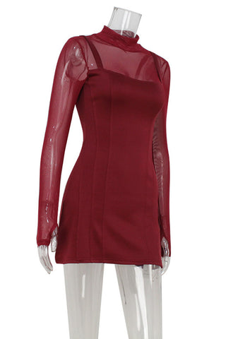 Sheer Sleeve Mock Neck Dress