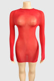 Sheer Long Sleeve Night Out Dress