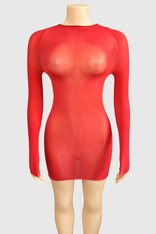 Sheer Long Sleeve Night Out Dress