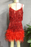 Fringe and Feathered Mini Dress