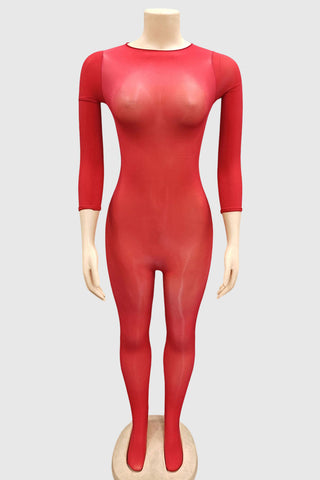 Sleek Long Sleeve Sheer Jumpsuit