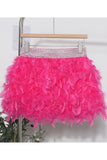 Feathered Mini Skirt with Glitter Waistband