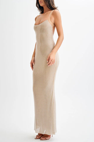 Elegant Sheer Evening Gown