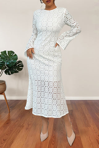 Elegant Lace Long Sleeve Casual Dress