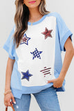 Star Patched Colorblock T Shirt