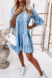 Button-Down Denim Dress