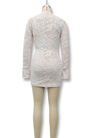 Lace Cutout Mini Dress