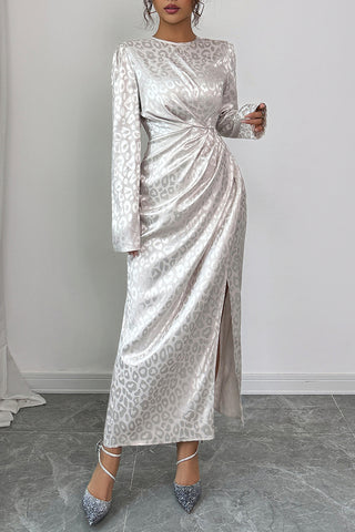 Elegant Long Sleeve Leopard Dress