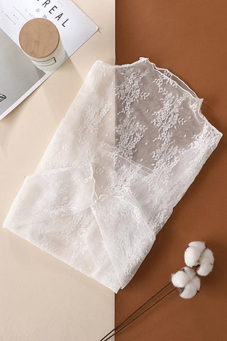 Sheer Lace Long Sleeve Top