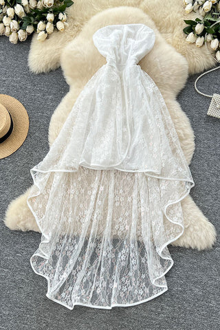 High-Low Lace Evening Dress
