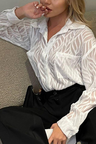 Elegant Sheer Long Sleeve Blouse