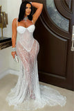 Elegant Sheer Lace Evening Gown