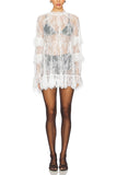 Elegant Lace Sheer Overlay Dress