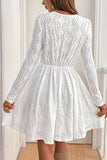 Elegant Eyelet Lace Casual Dress