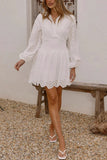 V-Neck Puff Sleeve Eyelet Mini Dress