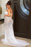 Elegant Sheer Lace Evening Gown