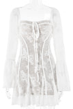 Sheer Lace Long Sleeve Dress