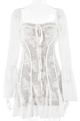 Sheer Lace Long Sleeve Dress