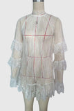Elegant Lace Sheer Overlay Dress