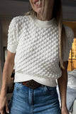 Textured Knit Short Sleeve Sweater