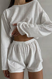 Eyelet Crop Top and Shorts Set