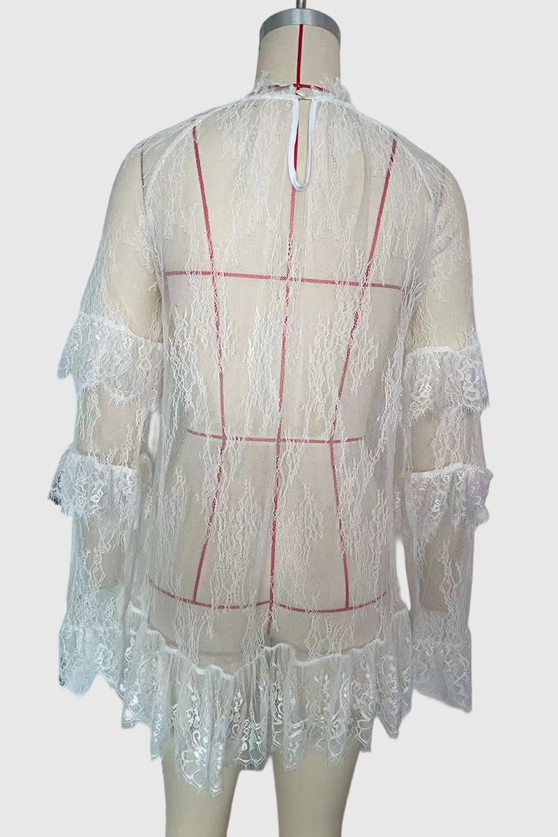Elegant Lace Sheer Overlay Dress
