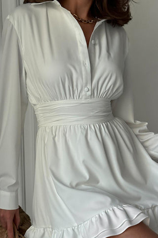 Buttoned Collared Casual Dress