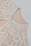 Lace Cutout Mini Dress