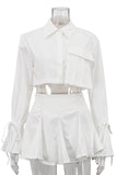 Chic Crop Top and Skirt Set