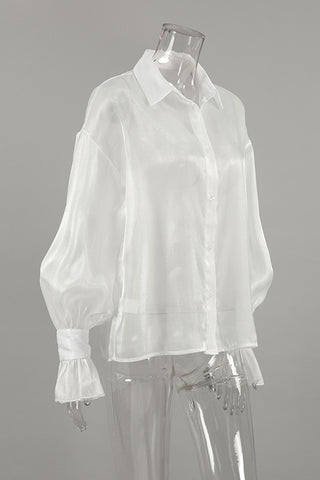 Elegant Sheer Button-Up Blouse