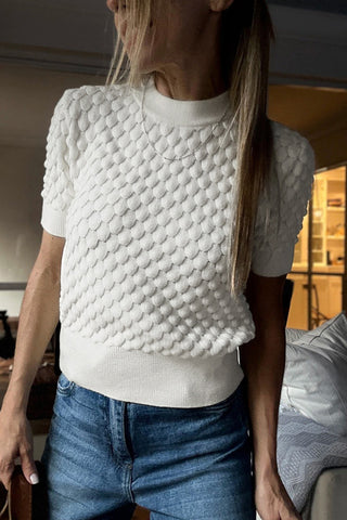 Textured Knit Short Sleeve Sweater