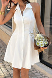 Shirt Collar A-Line Waist Dress