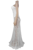 Elegant Sheer Lace Evening Gown