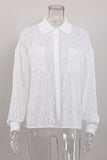 Elegant Sheer Long Sleeve Blouse
